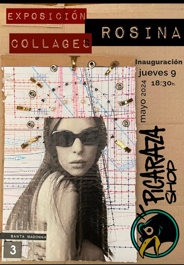 Exposición de Rosina Abós Sanz en librería Picaraza